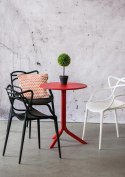 Bukszpan w białej donicy 38cm Intesi
